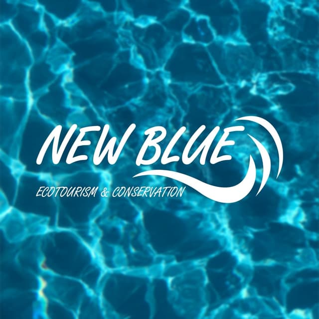 NewBlue website showcasing nature conservation efforts